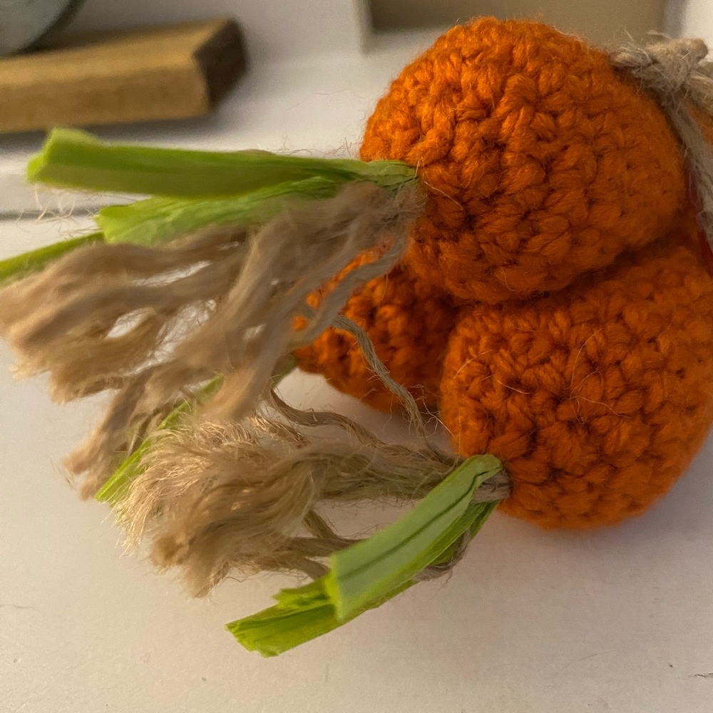 Carrot Bundle - Picture 4 of 5